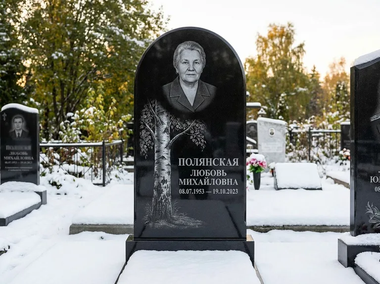 Памятник с гравировкой берёзы: полукруглая стела — объёмная одинокая берёза с фактурной корой, заснеженный зимний участок, работа «Полянская» в Волгограде