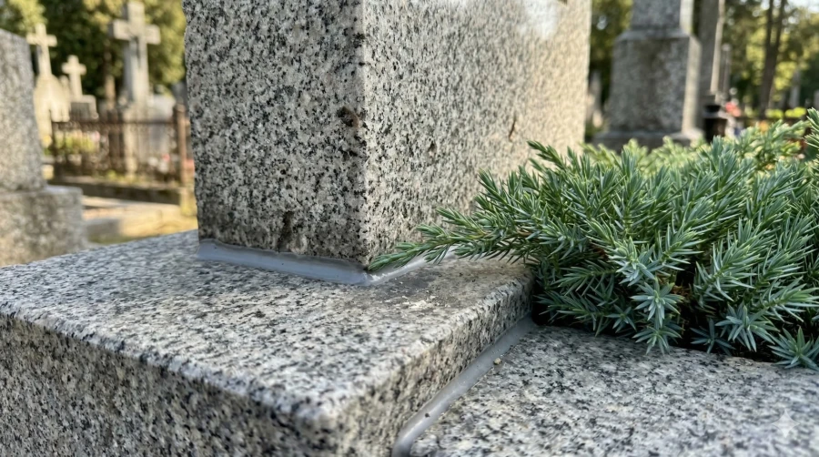 detali-oblicovki-rasteniya